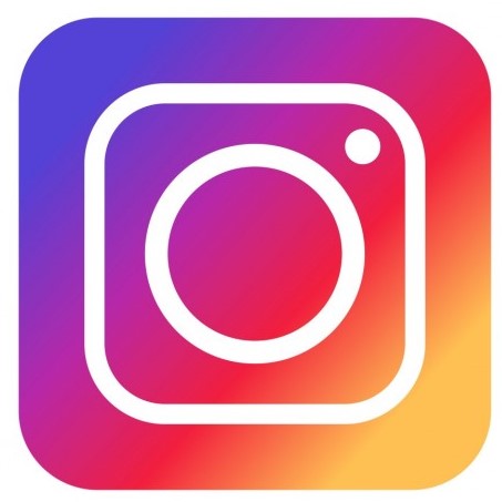 Instagram button for Get Involved TTU